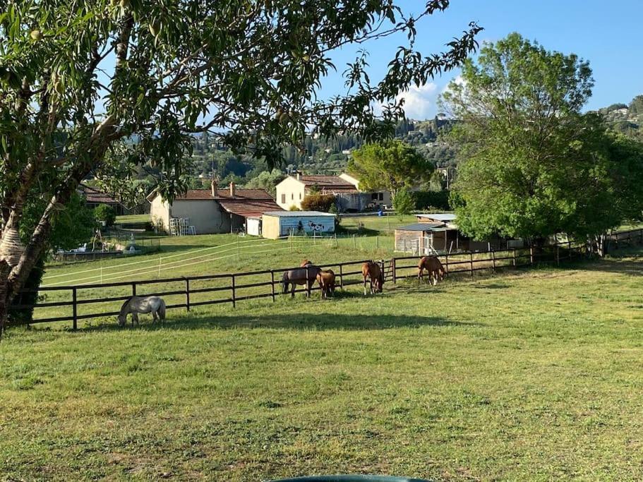 La Bastide De Jean Maison De Charme Dans Un Domaine Equestre Prive Grasse Exterior foto